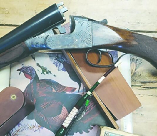 Oddball, eccentric or a bit of both? The case for the 16 and 28-gauge shotguns