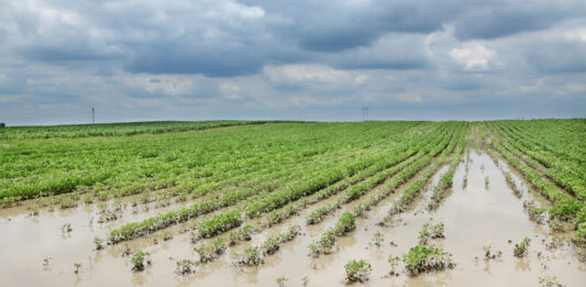 Record August rain and storms cause crop damage in Ohio