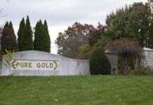 Pure Gold
Stables owner going to trial
