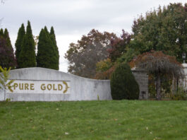 Pure Gold Stables owner going to trial