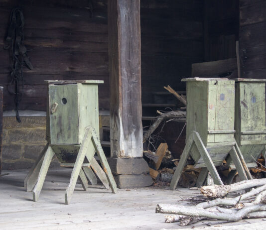 Agriculture past comes alive on walking tour