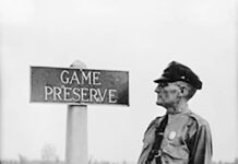 Division of Wildlife history part 3: Fish, game and conservation