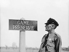 Division of Wildlife history part 3: Fish, game and conservation