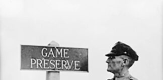 Division of Wildlife history part 3: Fish, game and conservation