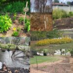 Backyard conservation: Local SWCD grants can fund your home projects