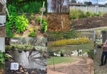Backyard conservation: Local SWCD grants can fund your home projects