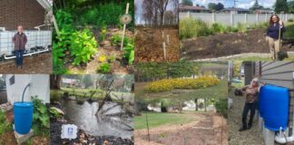 Backyard conservation: Local SWCD grants can fund your home projects