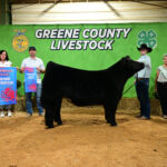 Greene County Fair (Pa.) 4-H & FFA Livestock Sale