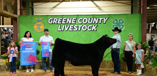 Greene County Fair (Pa.) 4-H & FFA Livestock Sale
