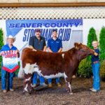 Beaver County Stockman’s Club Sale at Hookstown Fair (Pa.)