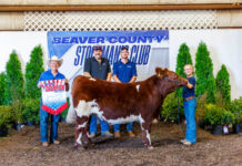 Beaver County Stockman’s Club Sale at Hookstown Fair (Pa.)