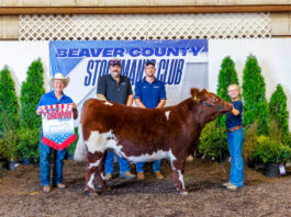 Beaver County Stockman’s Club Sale at Hookstown Fair (Pa.)