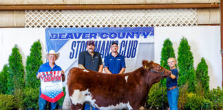 Beaver County Stockman’s Club Sale at Hookstown Fair (Pa.)