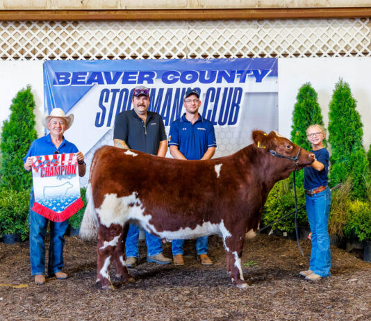 Beaver County Stockman’s Club Sale at Hookstown Fair (Pa.)