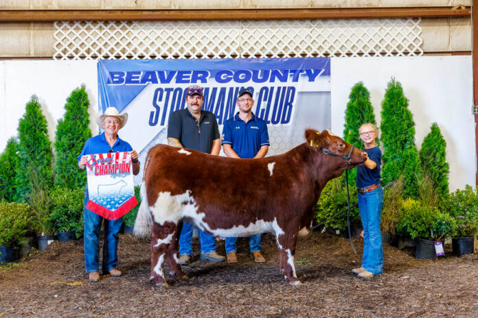 GRAND CHAMPION STEER: LYLA TETRAULT