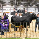 2026 Lorain County Fair Market Animal Auction results