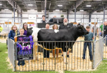 2026 Lorain County Fair Market Animal Auction results