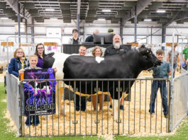 2026 Lorain County Fair Market Animal Auction results