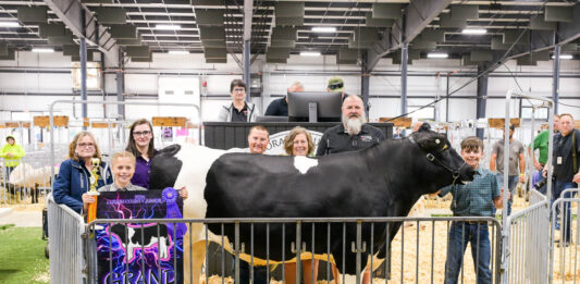 2026 Lorain County Fair Market Animal Auction results