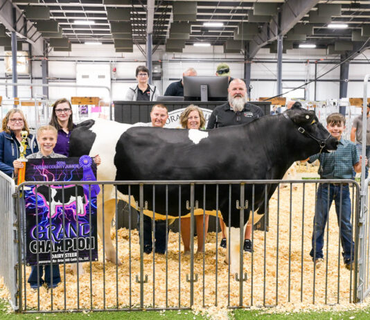 2026 Lorain County Fair Market Animal Auction results