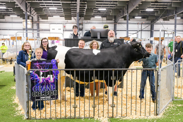 GRAND CHAMPION DAIRY STEER: BOYD GALLOWAY