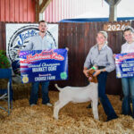 Jacktown Fair (Pa.) 4-H Rabbit & Goat Sale