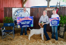 Jacktown Fair (Pa.) 4-H Rabbit & Goat Sale