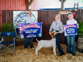 Jacktown Fair (Pa.) 4-H Rabbit & Goat Sale