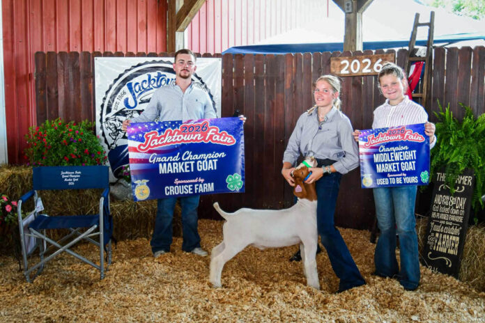 GRAND CHAMPION MARKET GOAT: ALLISON PECJAK