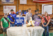 2026 Belmont County Junior Fair Sale results