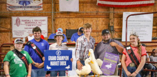 2026 Belmont County Junior Fair Sale results