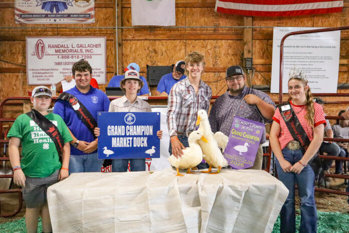 GRAND CHAMPION MARKET DUCKS: AIDAN GIFFIN