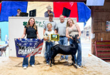 2026 Medina County Fair Livestock Sale results