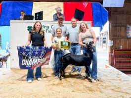 2026 Medina County Fair Livestock Sale results