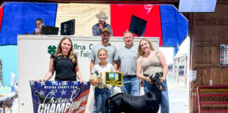 2026 Medina County Fair Livestock Sale results
