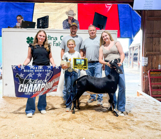 2026 Medina County Fair Livestock Sale results