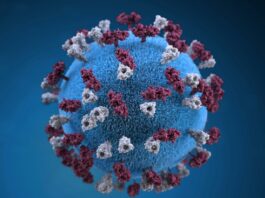 Measles outbreak hits Pennsylvania farming communities