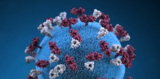 Measles outbreak hits Pennsylvania farming communities