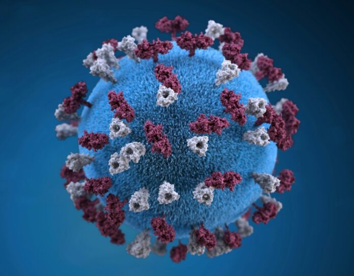 cdc measles