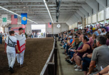 Lorain County dairy youth auction raises record $102K dairy show auction