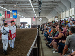 Lorain County dairy youth auction raises record $102K dairy show auction
