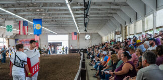 Lorain County dairy youth auction raises record $102K dairy show auction