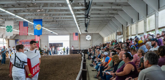 Lorain County dairy youth auction raises record $102K dairy show auction