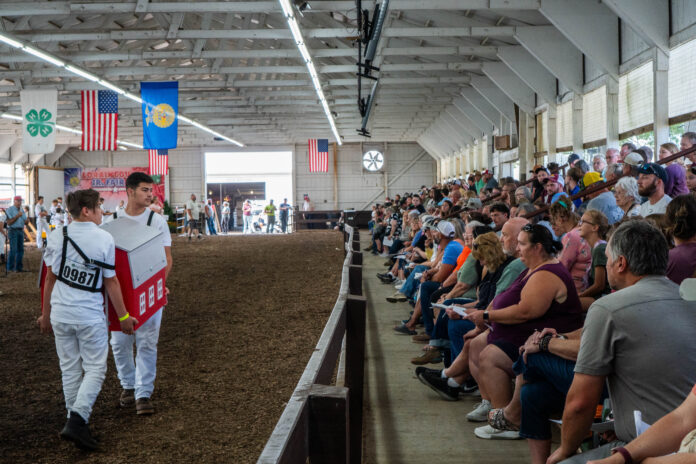 dairy show auction dairy show auction