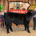 2026 Lawrence County 4-H and FFA Junior Livestock Sale results