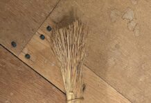 How flax became the forgotten cash crop of 19th-century Ohio