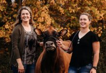 Pennsylvania sisters receive national Young Jersey Breeder Award