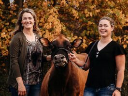 Pennsylvania sisters receive national Young Jersey Breeder Award