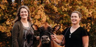 Pennsylvania sisters receive national Young Jersey Breeder Award