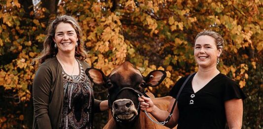 Pennsylvania sisters receive national Young Jersey Breeder Award